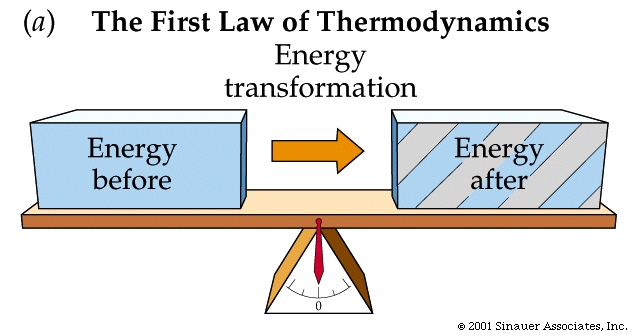 the second law of thermodynamics states that
